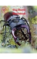 Stag Beetle Sketchbook: (Sketchbooks for Drawing)