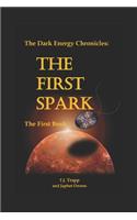 Dark Energy Chronicles