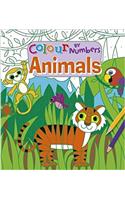 Colour by Numbers: Animals