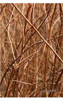 Journal Pages - In The Weeds (Unruled): 6" x 9", Classic Notebook- Unlined Plain Journal, for Notes, sketches, 100 Pages (Durable Cover)