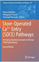 Store-Operated Ca²⁺ Entry (SOCE) Pathways