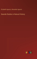 Seaside Studies in Natural History