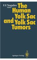 Human Yolk Sac and Yolk Sac Tumors