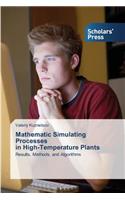 Mathematic Simulating Processes in High-Temperature Plants