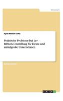 Praktische Probleme bei der BilMoG-Umstellung für kleine und mittelgroße Unternehmen: (German)