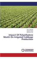 Impact Of Polyethylene Mulch On Irrigated Cabbage Production