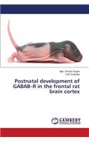 Postnatal development of GABAB-R in the frontal rat brain cortex