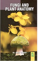 Fungi and Plant Anatomy