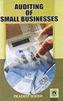 Auditing Of Small Businesses