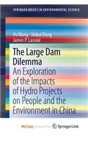 The Large Dam Dilemma