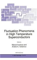 Fluctuation Phenomena in High Temperature Superconductors