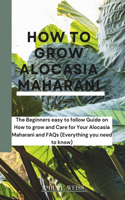 How to Grow Alocasia Maharani