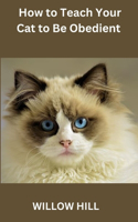 How to Teach Your Cat to Be Obedient