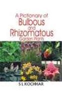 A Pictionary of Bulbous and Rhizomatous - Garden Plants