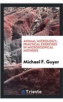 Animal Micrology; Practical Exercises in Microscopical Methods
