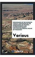 Proceedings of the Sixteenth Annual Convention of the Association of Trustees, Superintendents and Matrons of County Asylums for Chronic Insane of Wis