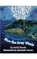 Journey of Nico the Gray Whale