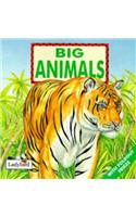 Big Animals (First Discovery Series)