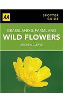 Wild Flowers