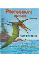 Pterosaurs Up Close
