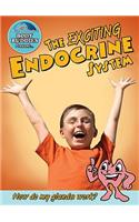 The Exciting Endocrine System