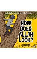 How Does Allah Look?