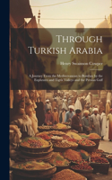 Through Turkish Arabia