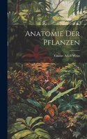 Anatomie Der Pflanzen