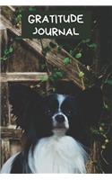 Gratitude Journal: Cute Papillon or Continental Toy Spaniel Dog Diary for Recording Grateful Moments Motivational Writing Gift Notebook: Cute Pet Lover Gratitude Book 