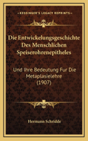 Die Entwickelungsgeschichte Des Menschlichen Speiserohrenepitheles: Und Ihre Bedeutung Fur Die Metaplasielehre (1907)