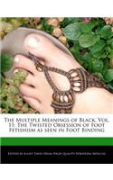 The Multiple Meanings of Black, Vol. 11