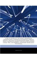 Articles on Flora of Mauritius, Including: Sideroxylon Grandiflorum, Cordemoya Integrifolia, Hibiscus Fragilis, Trochetia, Acanthophoenix Rubra, Santol (Fruit), Eragrostis Amabilis, Trochetia