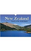 New Zealand - Variety of the South Island 2018