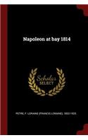 Napoleon at Bay 1814