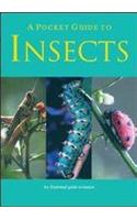 Concise Guide To Insects