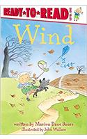 Wind (4 Paperback/1 CD): (How the Weather Works)