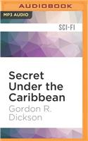 Secret Under the Caribbean: (Under the Sea)