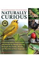 Naturally Curious