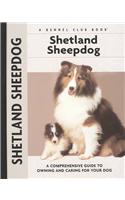 Shetland Sheepdog