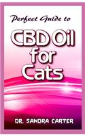 Perfect Guide to CBD Oil for Cats