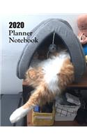 2020 Planner Notebook: Orange Tabby Cat Planner Book With Monthly and Weekly Calendars, Monthly Habit Tracker, Vision Board and Brain Dump Sheets