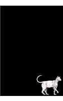 Sphynx Cat Journal
