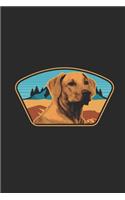 Labrador With Mountains Background