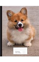 Corgi Puppy Graph Paper Composition Book: 5x5 Graph Ruled Notebook, 200 sheets, 100 pages