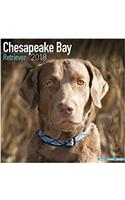 Chesapeake Bay Retriever Calendar 2018
