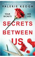 Secrets Between Us: An absolutely gripping psychological thriller