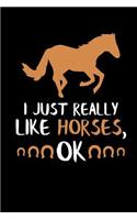 I Just Really Like Horses, Ok