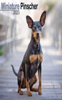 Miniature Pinscher  2023 Wall Calendar