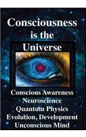 Consciousness is the Universe