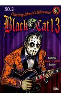 Black cat 13